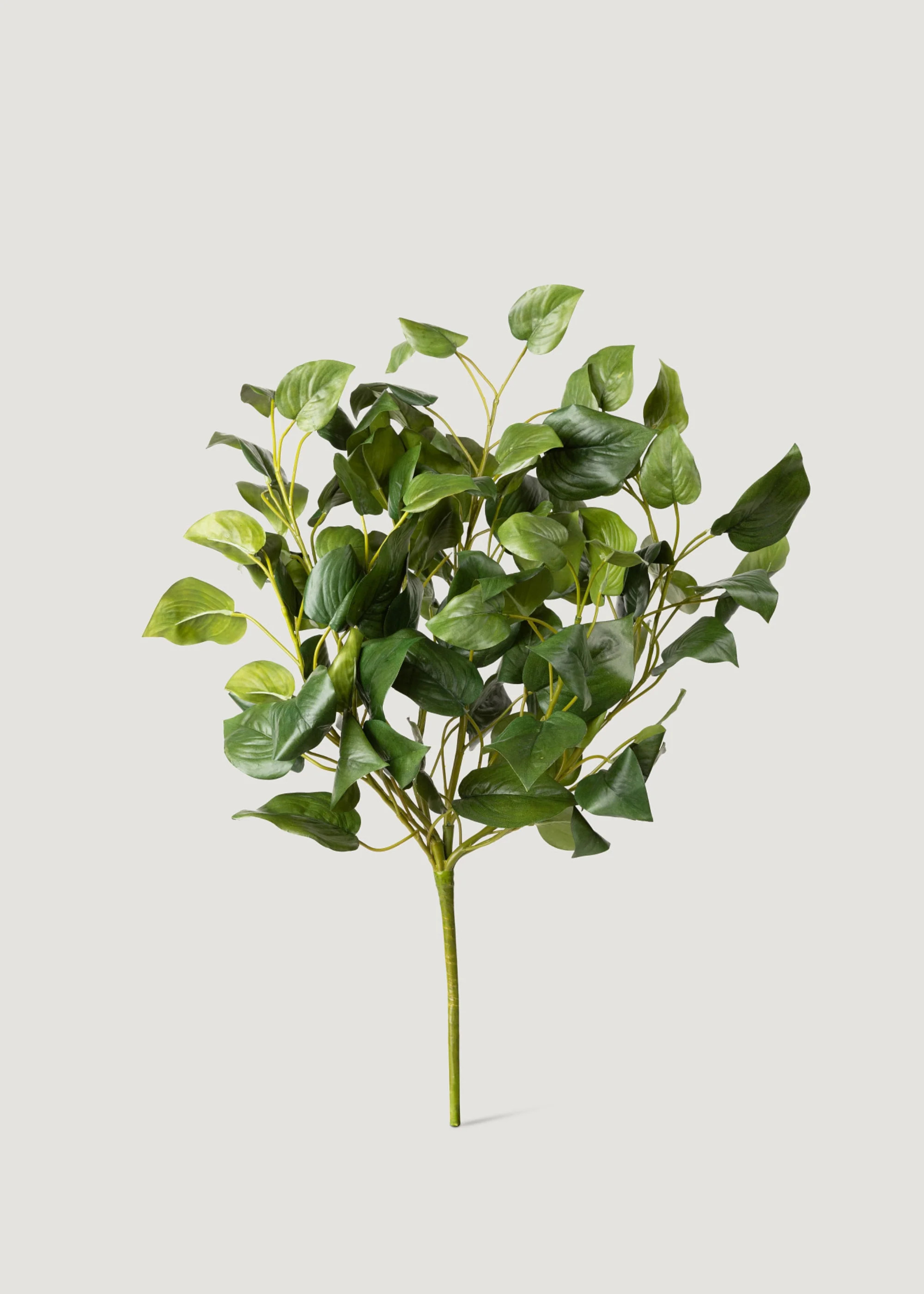 Faux Philodendron Tropical Plant - 28" | Afloral | Afloral
