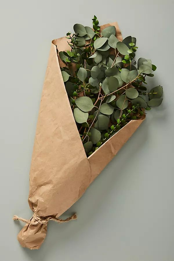 Dried Eucalyptus Bouquet By Anthropologie in Green | Anthropologie (US)