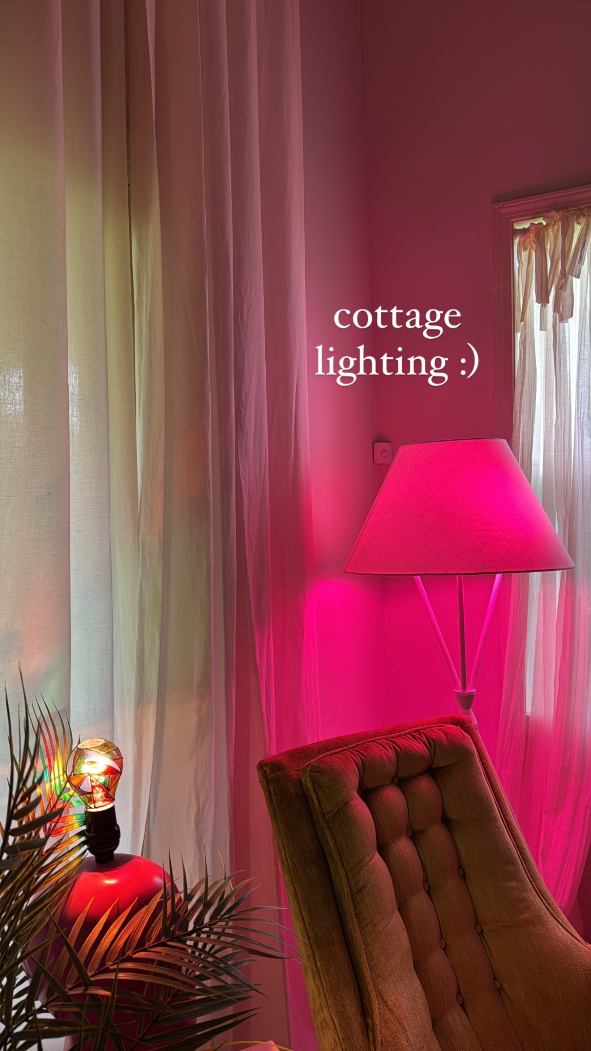 all the lightbulbs linked :) 
Linking lamps I can find that are similar to mine 🫶🏻