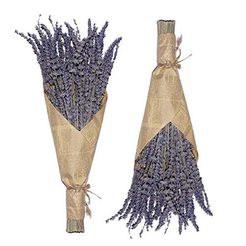 Cedar Space Lavender Dried Flowers 2 Bunches Dried Lavender Ideal Home Fragrance Products for Home D | Amazon (US)