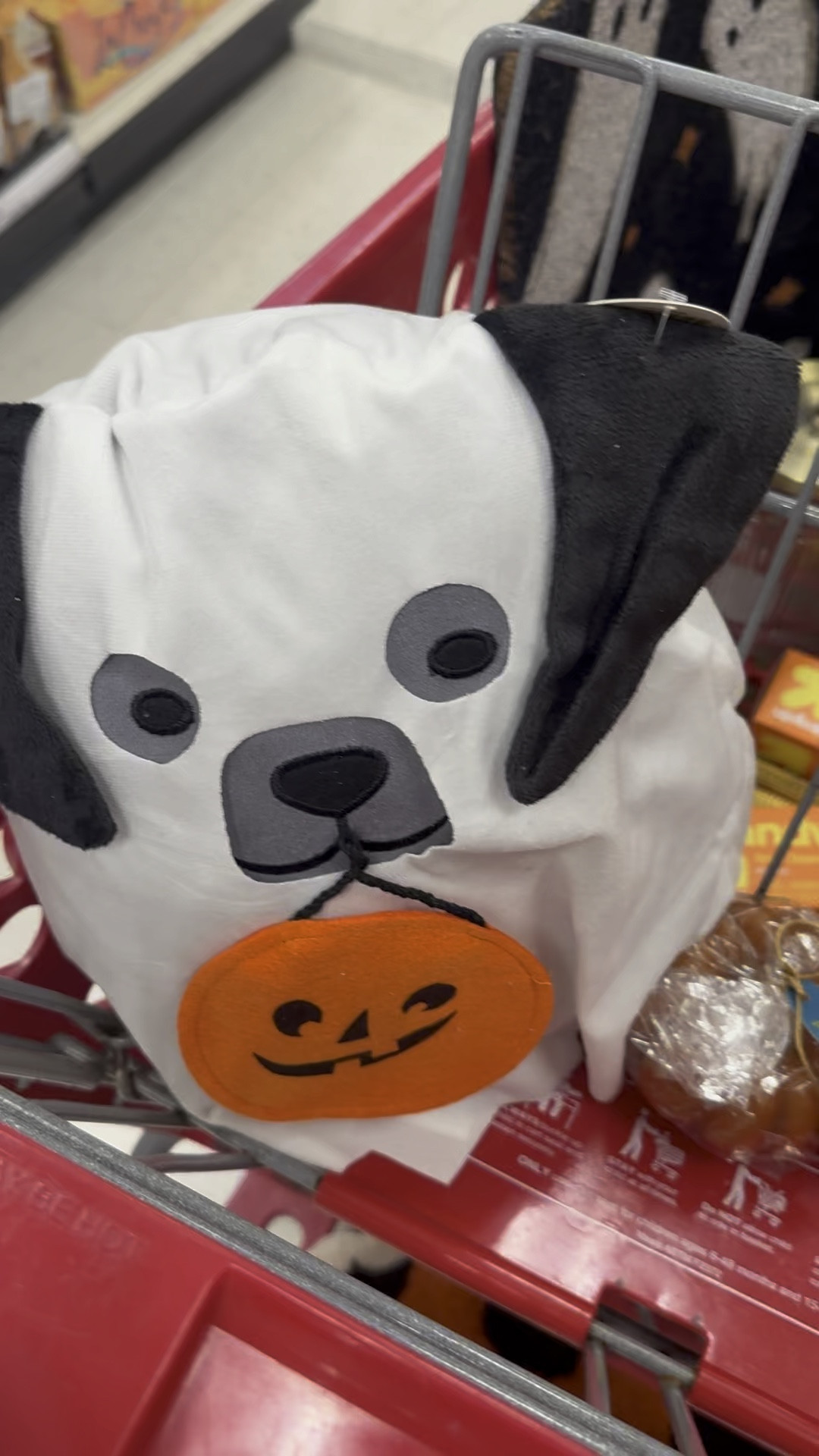 The cutest Halloween and fall Target finds for 2024 pillows, Halloween decor and other cute home items!

#LTKFallSale #LTKFamily #LTKSeasonal