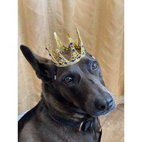 Crowns For Dog Adult Pets Crown Gold Dogs Birthday Cat Puppy | Etsy (US)