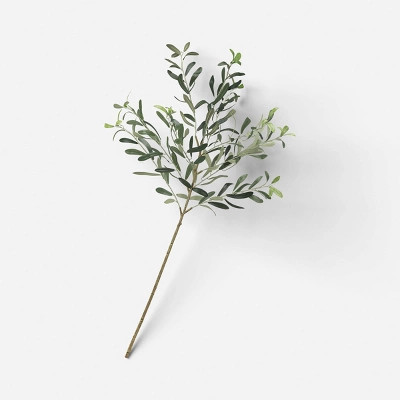 Olive Branch - Threshold™ | Target
