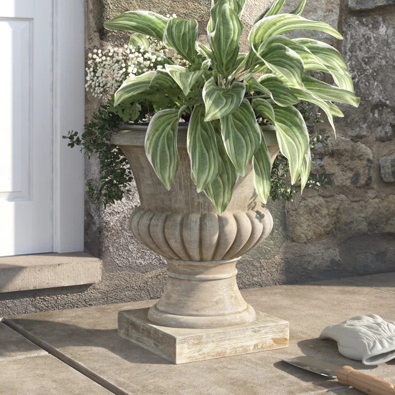 Sonje Jonze Urn Planter | Wayfair North America
