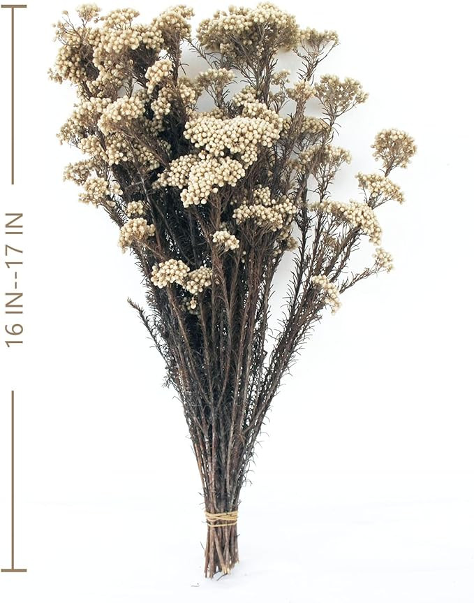 Caiyun Manor Natural Millet Flowers Dried Bouquet for Home and Wedding Decoration (Natural Color)... | Amazon (US)