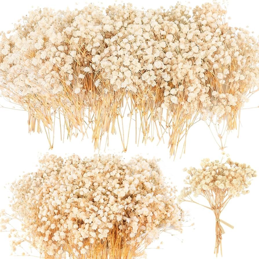 80Pcs Mini Dried Babys Breath Flowers, 4600+ Ivory White Baby Breath Flowers Bulk, Dried Flower f... | Amazon (US)