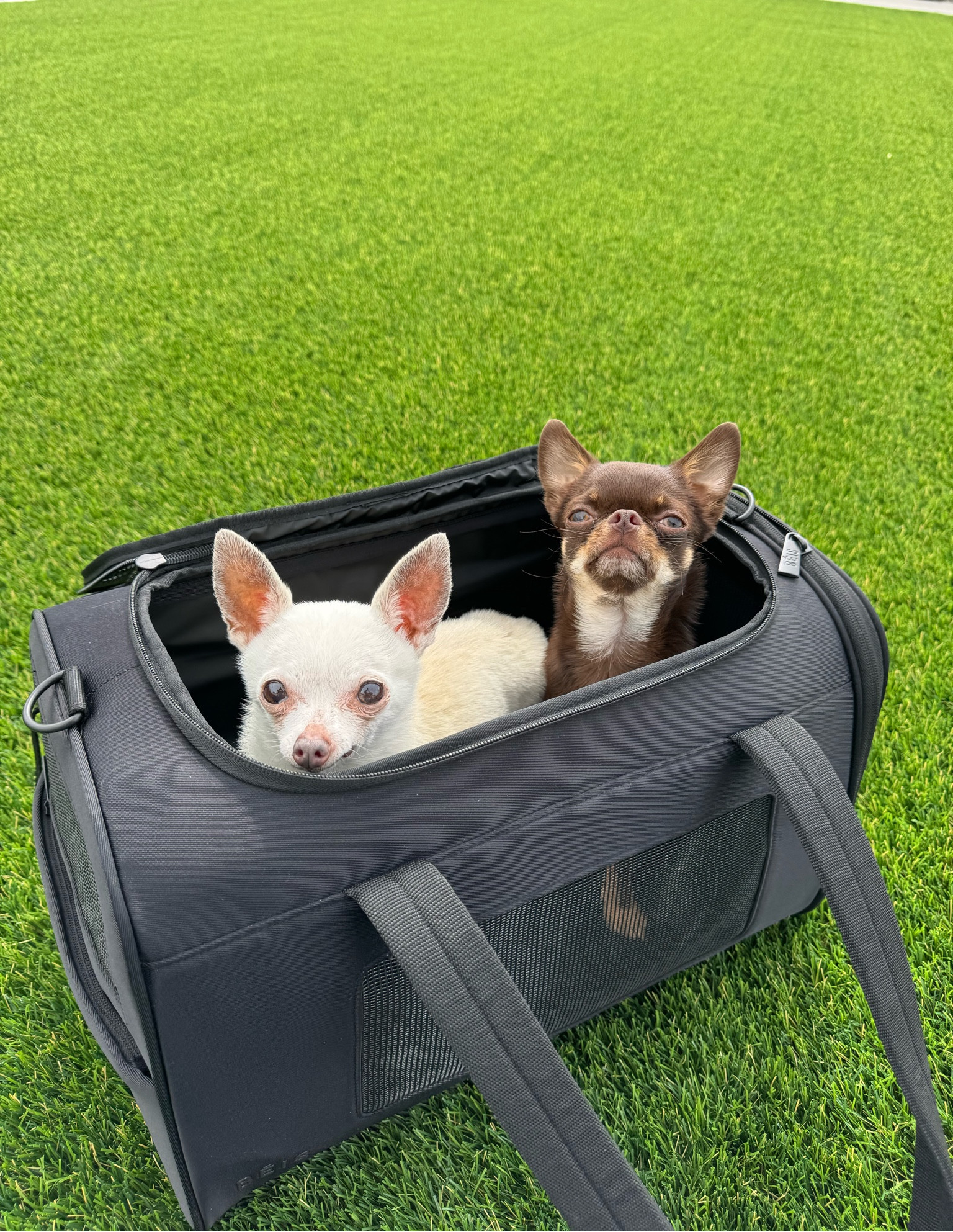 Love this bag from Beis and it’s TSA friendly!