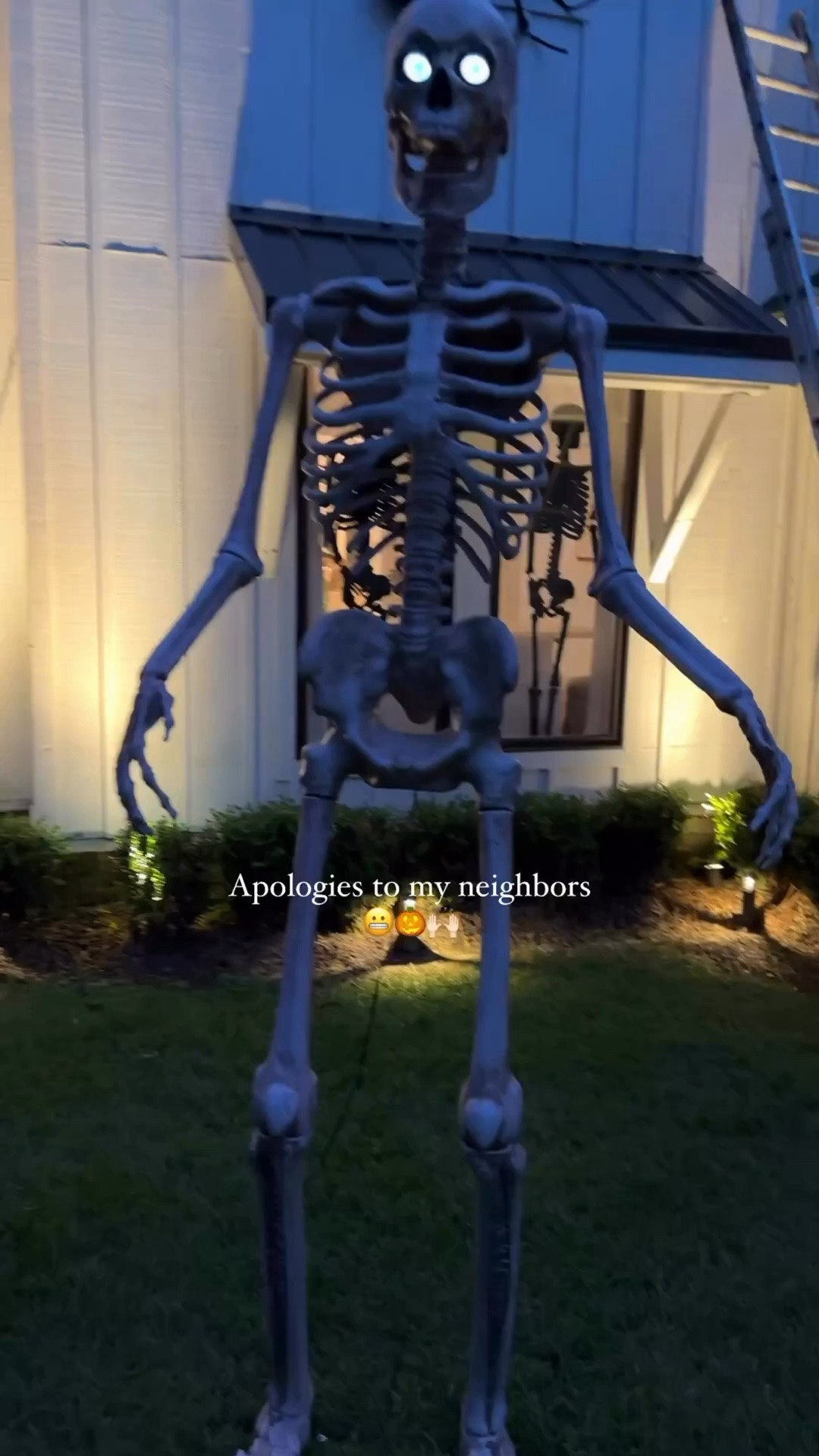 Play any song you want on the animated skelly that’s controlled from an app on your phone. Also my large spiders from target that sell out every year are stocked now

#LTKSeasonal #LTKHome #LTKdayinmylife