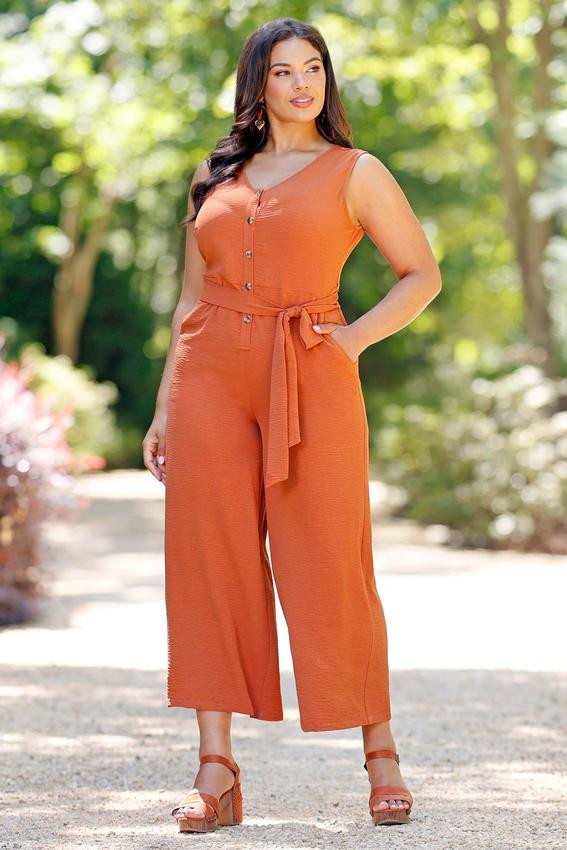 Plus Size Flowy Button Front Jumpsuit | Cato Fashions