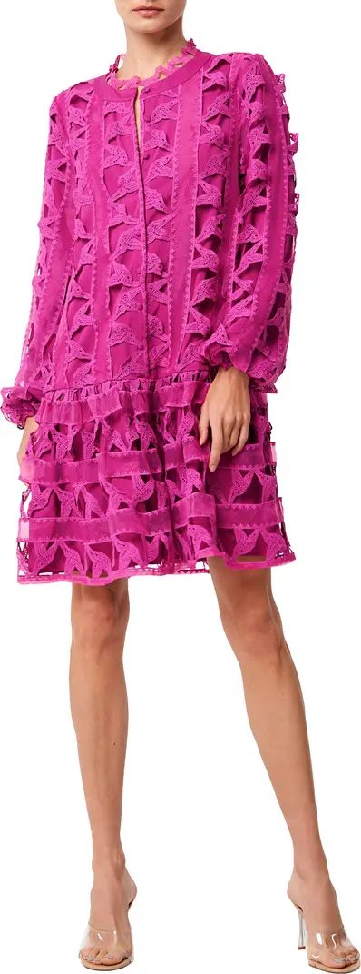 Wylla Humbird Lace & Organza Drop Waist Dress | Nordstrom