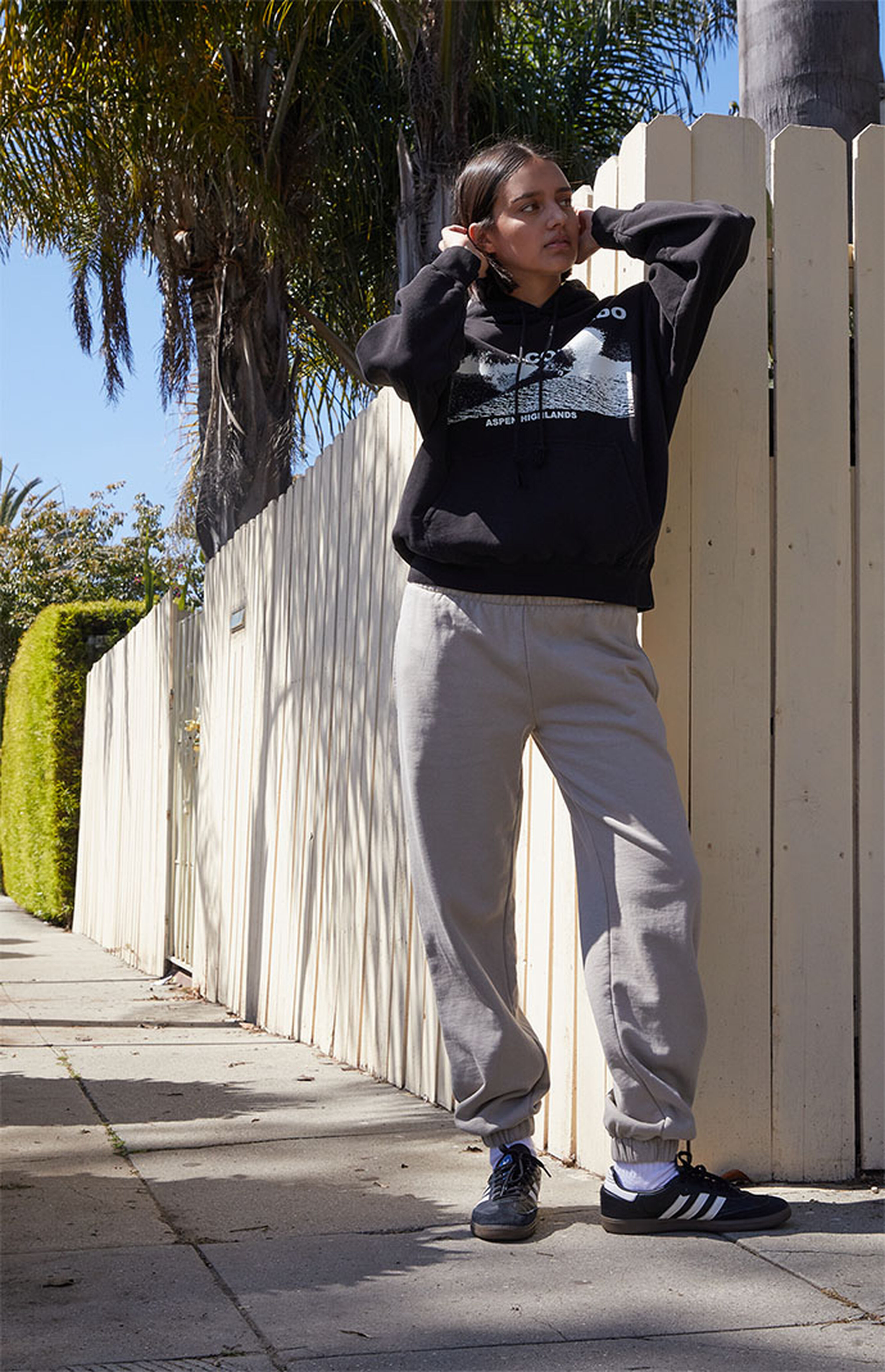 John Galt Rosa Sweatpants | PacSun