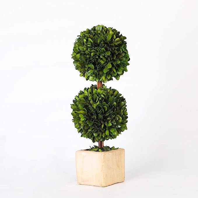 BoxwoodWorld potted preserved boxwood topiary green plant for home decor double ball shape 12 inc... | Amazon (US)