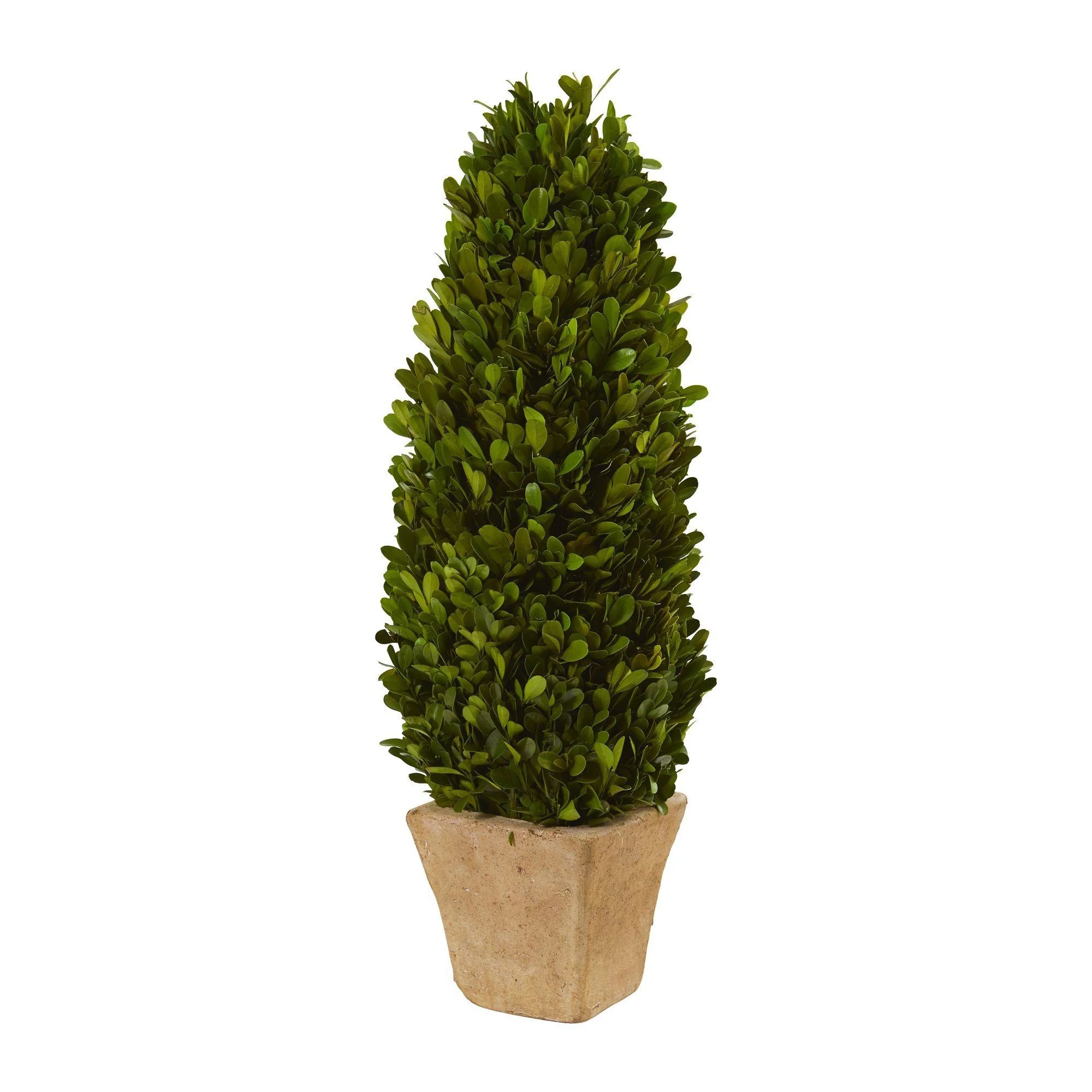 18” Boxwood Cone Preserved Plant in Planter | Nearly Natural