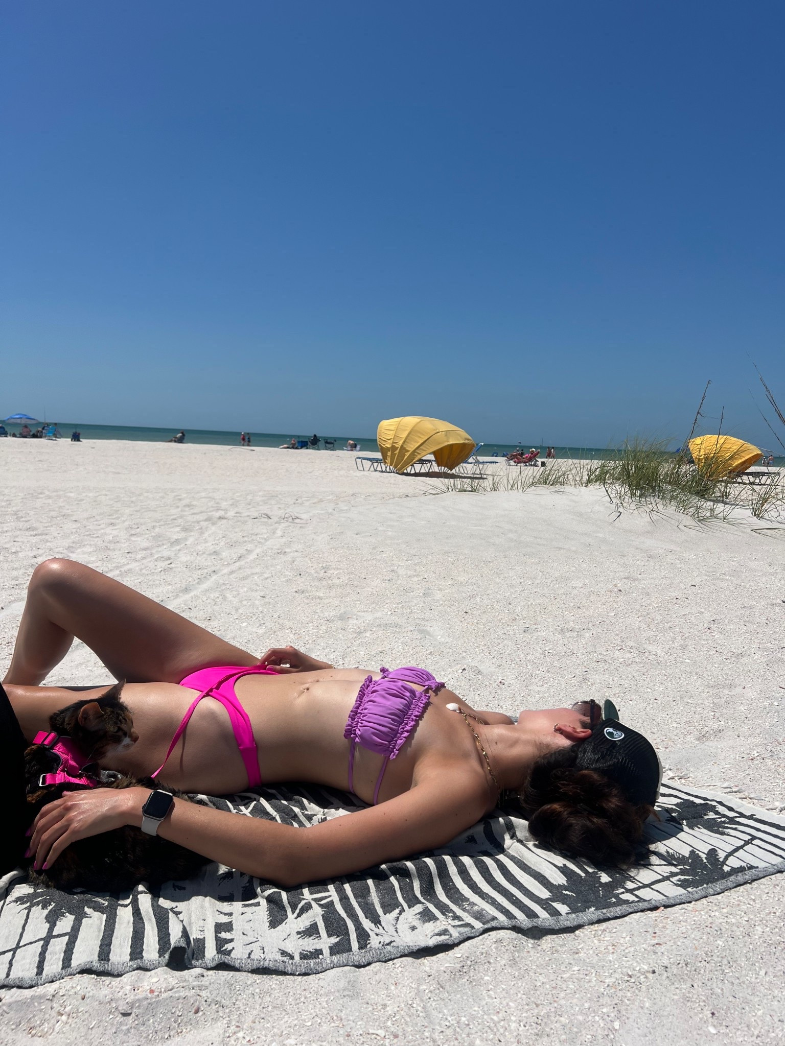 4/2 beach day
Cat harness
Amazon find 
Amazon thong bikini

#LTKSwim #LTKPets #LTKFindsUnder50