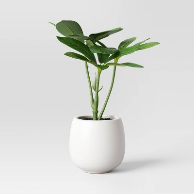 6" Mini Tabletop Schefflera Artificial Plant - Threshold™ | Target