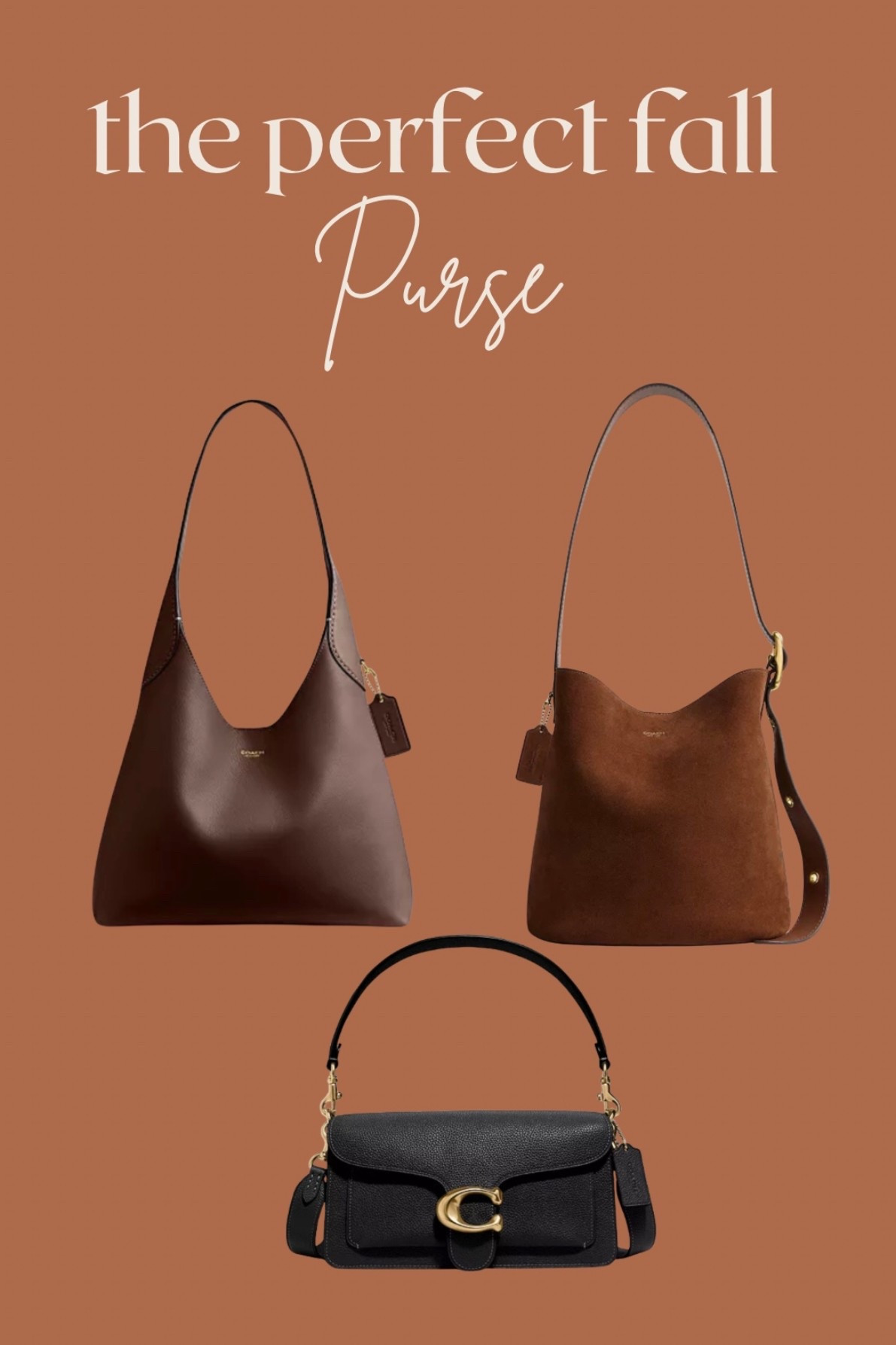 Does the perfect fall
Purse exist? I think so! I’m in love with these coach purses! 🤎 

#LTKGiftGuide #LTKItBag