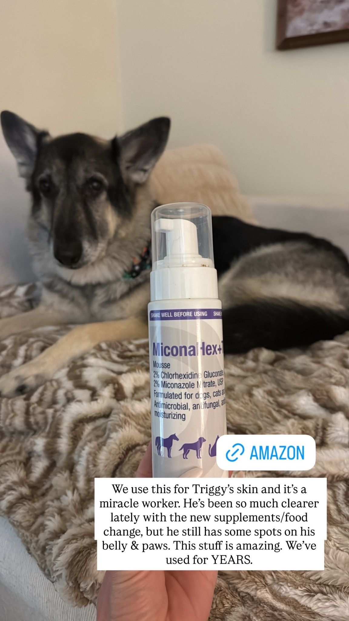 This Amazon pet find is amazing! ✨

It has really helped our Triggy’s skin! 

AmazonPets
PetFinds
DogMomLife
  

 

#LTKdayinmylife #LTKHome