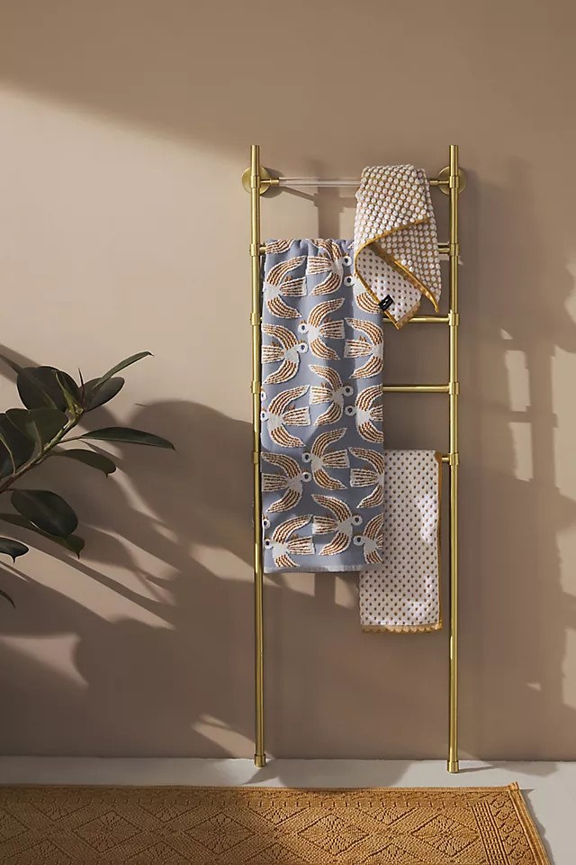 Mikayla Lucite Storage Ladder | Anthropologie (US)