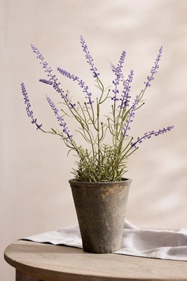 Faux Lavender Plant | Terrain
