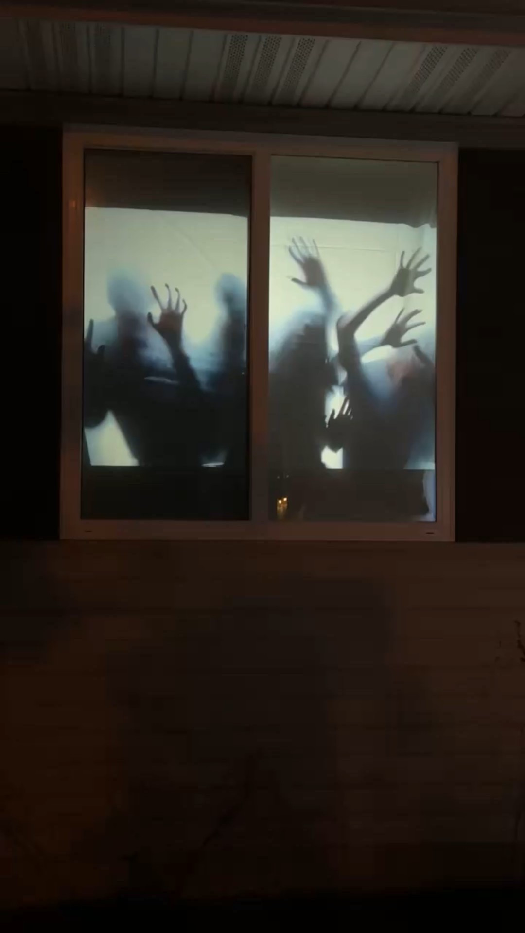 The BEST Halloween decoration purchase thus far! This amazing projector comes with YouTube, Netflix & many other app capabilities. Definitely using this for the Christmas season as well! 




#LTKWorkwear #LTKSwim #LTKFindsUnder50 #LTKWedding #LTKHome #LTKBaby #LTKMens #LTKSaleAlert #LTKFindsUnder100 #LTKStyleTip #LTKFamily #LTKU #LTKBeauty #LTKBump #LTKOver40 #LTKItBag #LTKParties #LTKTravel #LTKSeasonal #LTKShoeCrush #LTKKids #LTKMidsize #LTKActive #LTKPetite #LTKGiftGuide #LTKTall #LTKHalloween #LTKFallSale