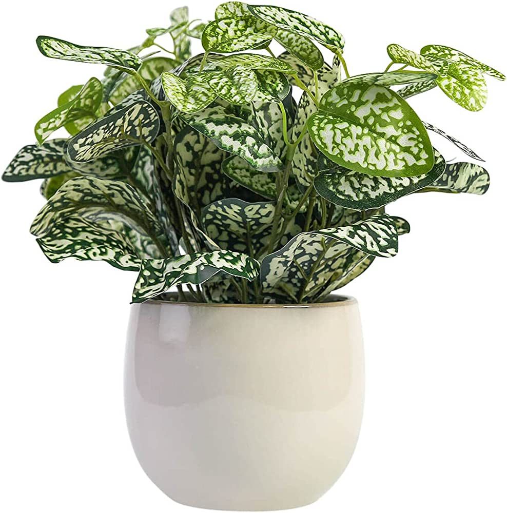 BLVVCOM Artificial Potted Plants-Fake Plants 10.6" Faux Green Plant-Ceramic Pot-Tropical Bohemian... | Amazon (US)