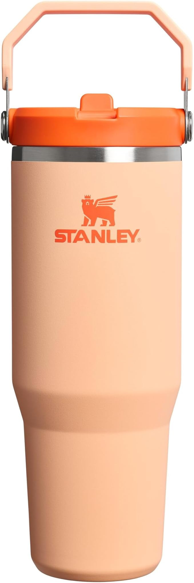 Stanley 1913 Flip Straw Tumbler 1.0 Water Bottle with Straw 0.89L - Keeps Cold for 12+ Hours - Ea... | Amazon (UK)