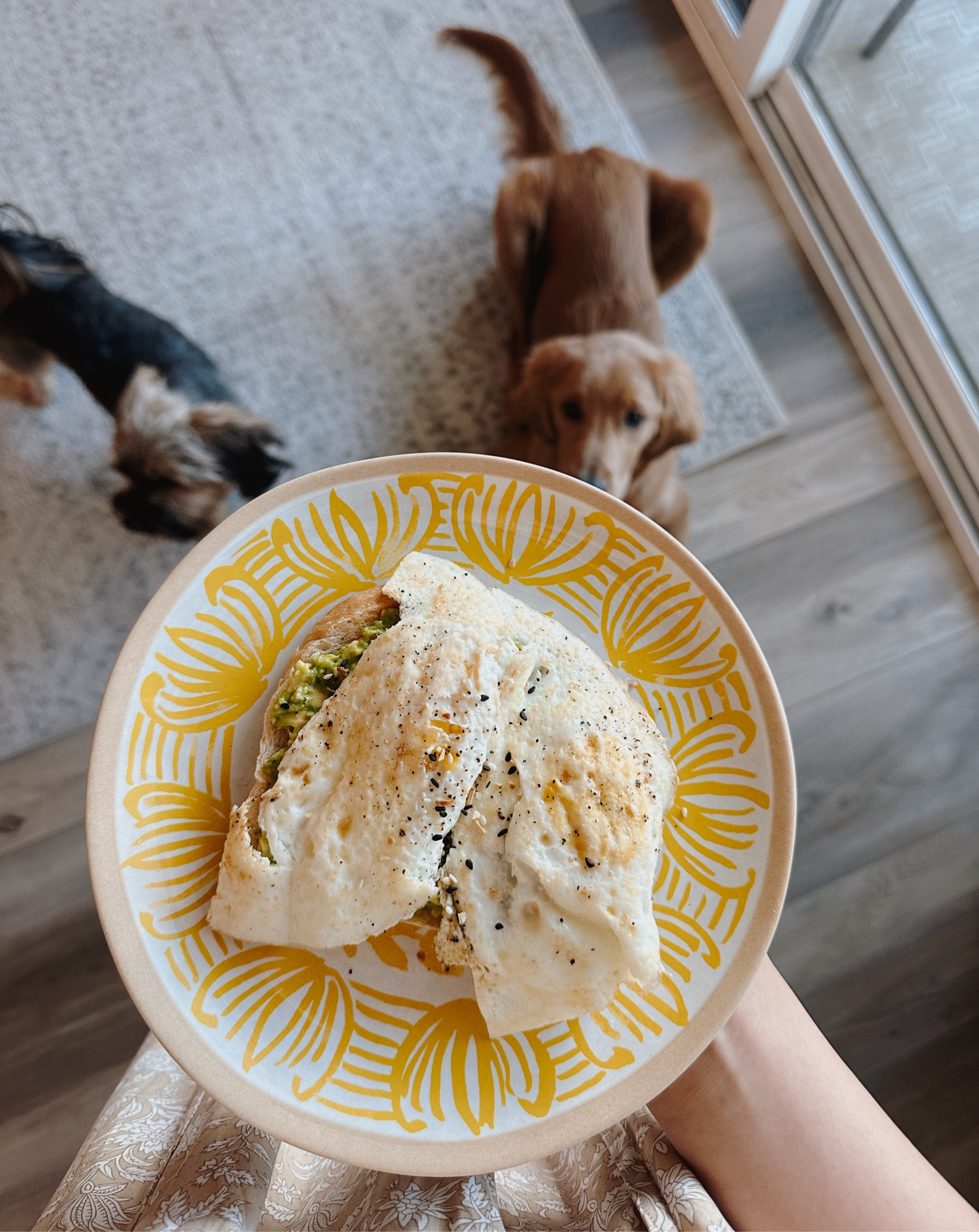 summer plates | dinnerware

#LTKHome #LTKSummerSales