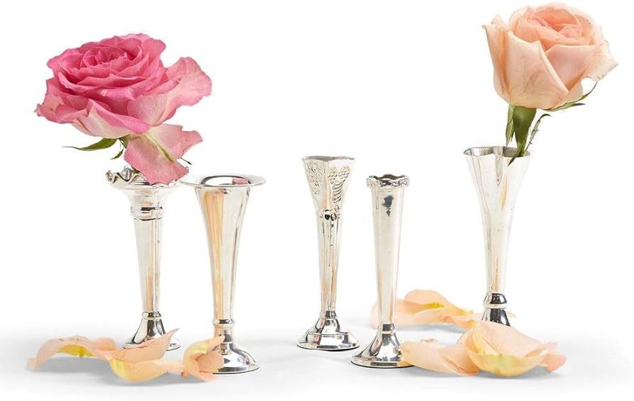 Two's Company Set of 5 Single Stem Vases | Amazon (US)