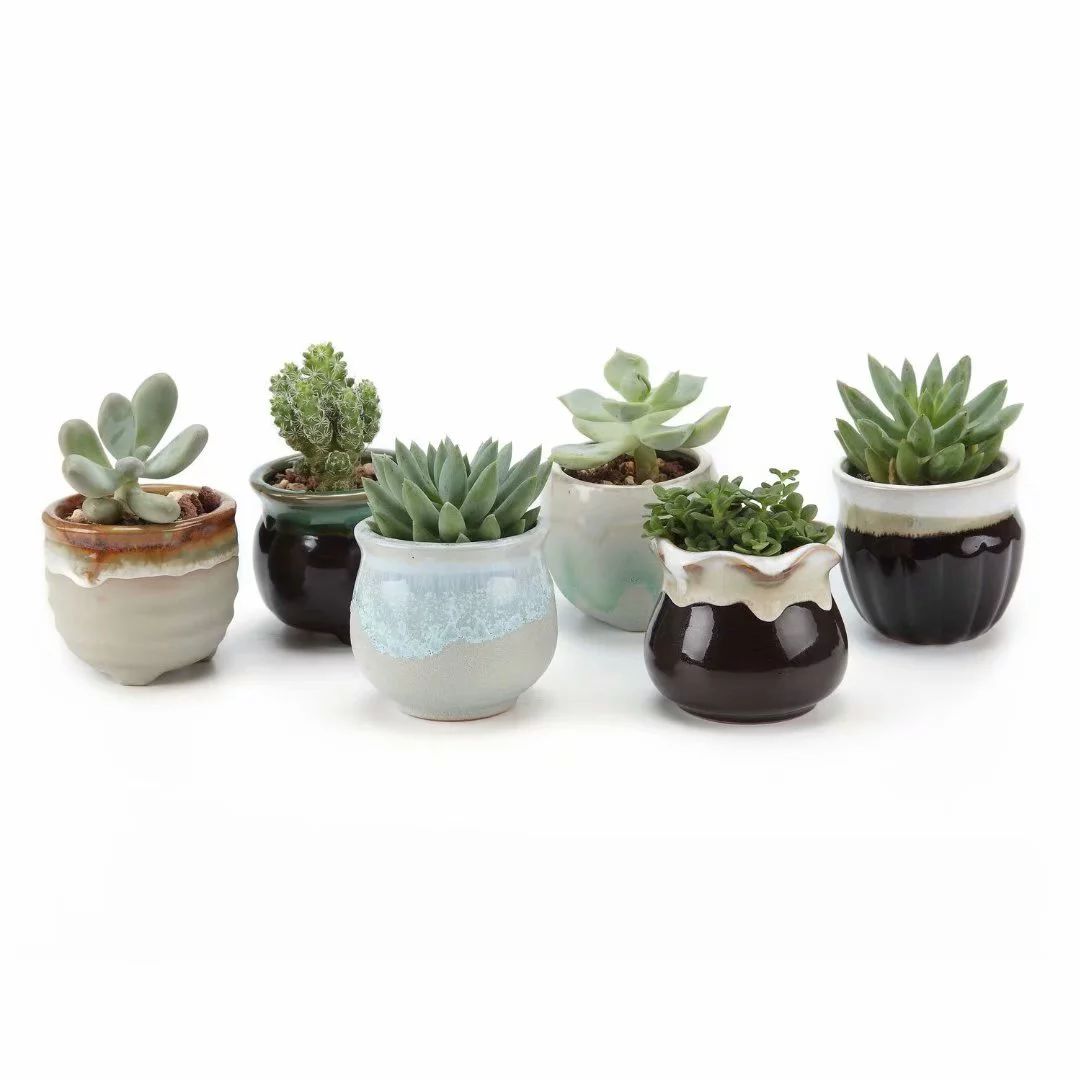 Small Ceramic Succulent Pots with Drainage Set of 6, Mini Pots for Plants, Tiny Porcelain Planter... | Walmart (US)