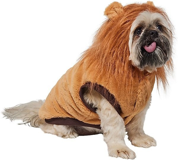 Frisco Lion Love Dog & Cat Costume | Chewy.com