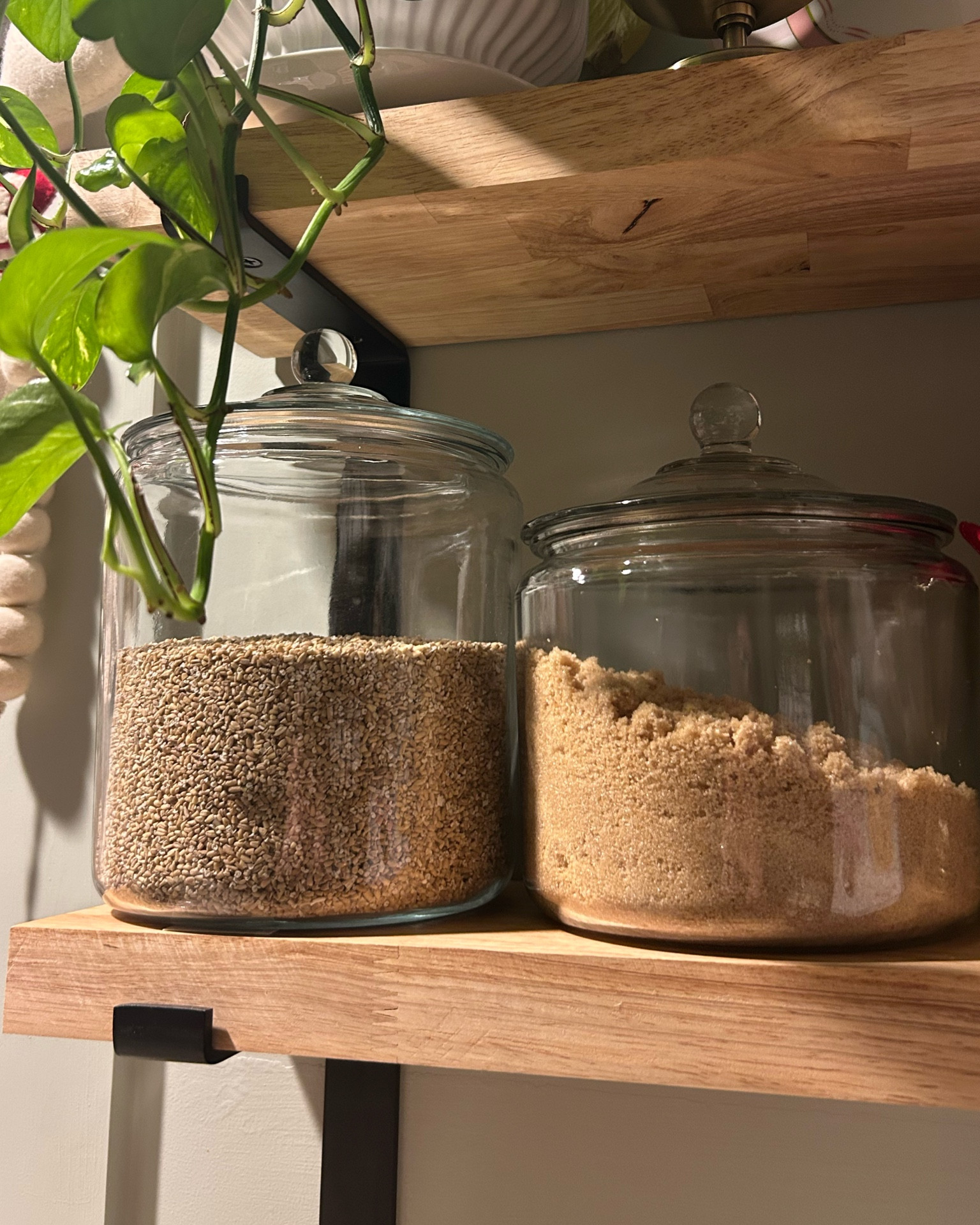 My favorite glass jars for the house. Perfect for my oats & brown sugar. 

Pantry Organizers | Target Organization | Food storage | Kitchen 

#LTKHome