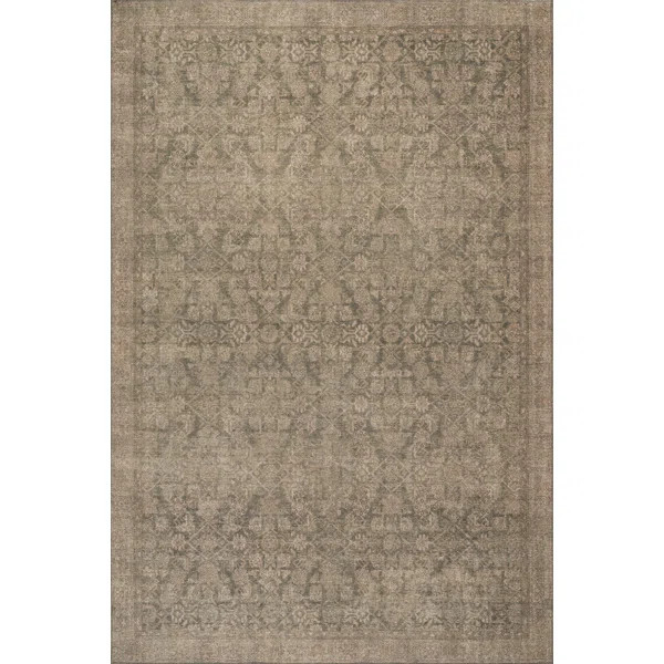 Hillstone Collection Calianna Traditional Vintage Medallion Area Rug | Wayfair North America
