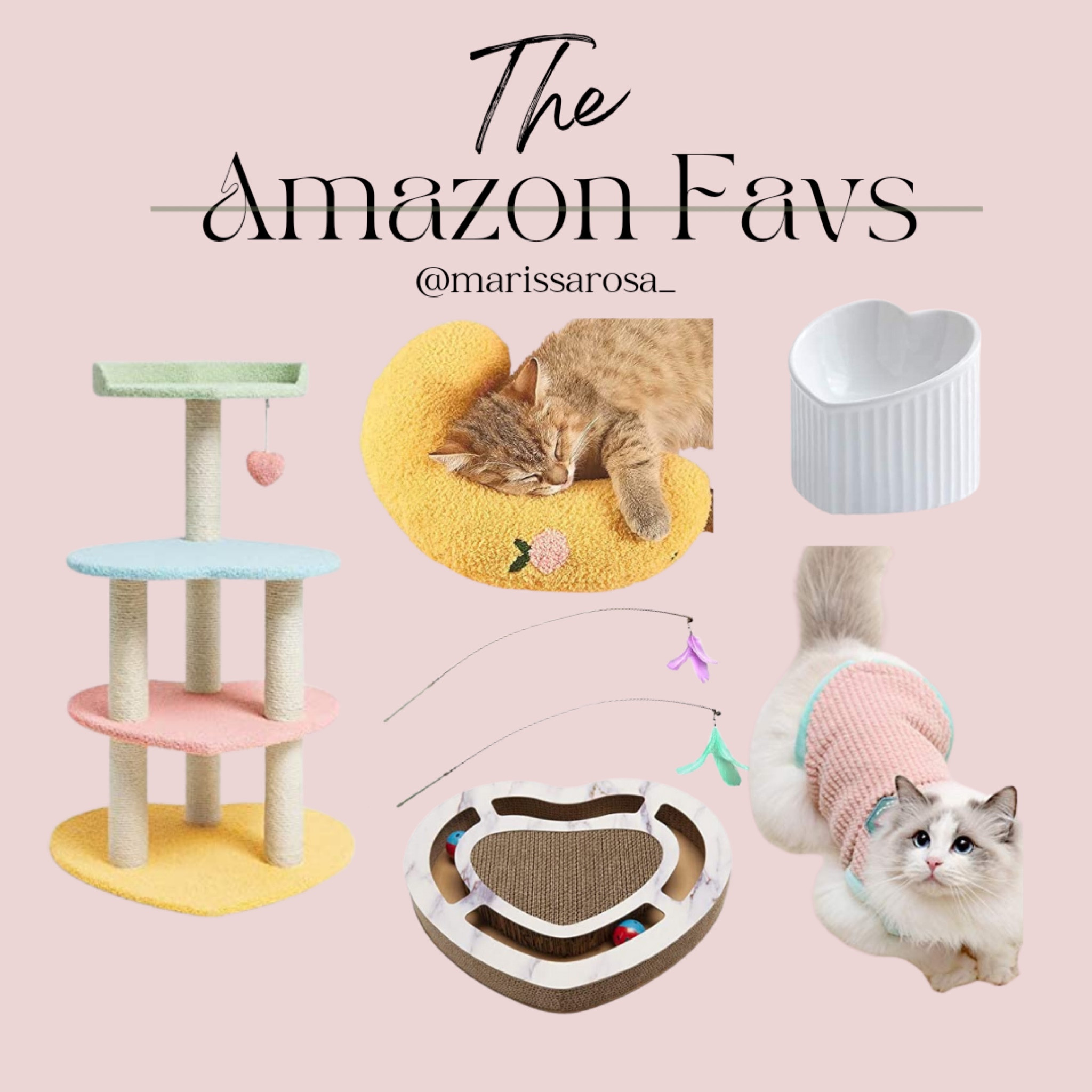 Be My Valentine 😻 Shop My Cat Amazon Favs! 

#LTKFind #LTKU