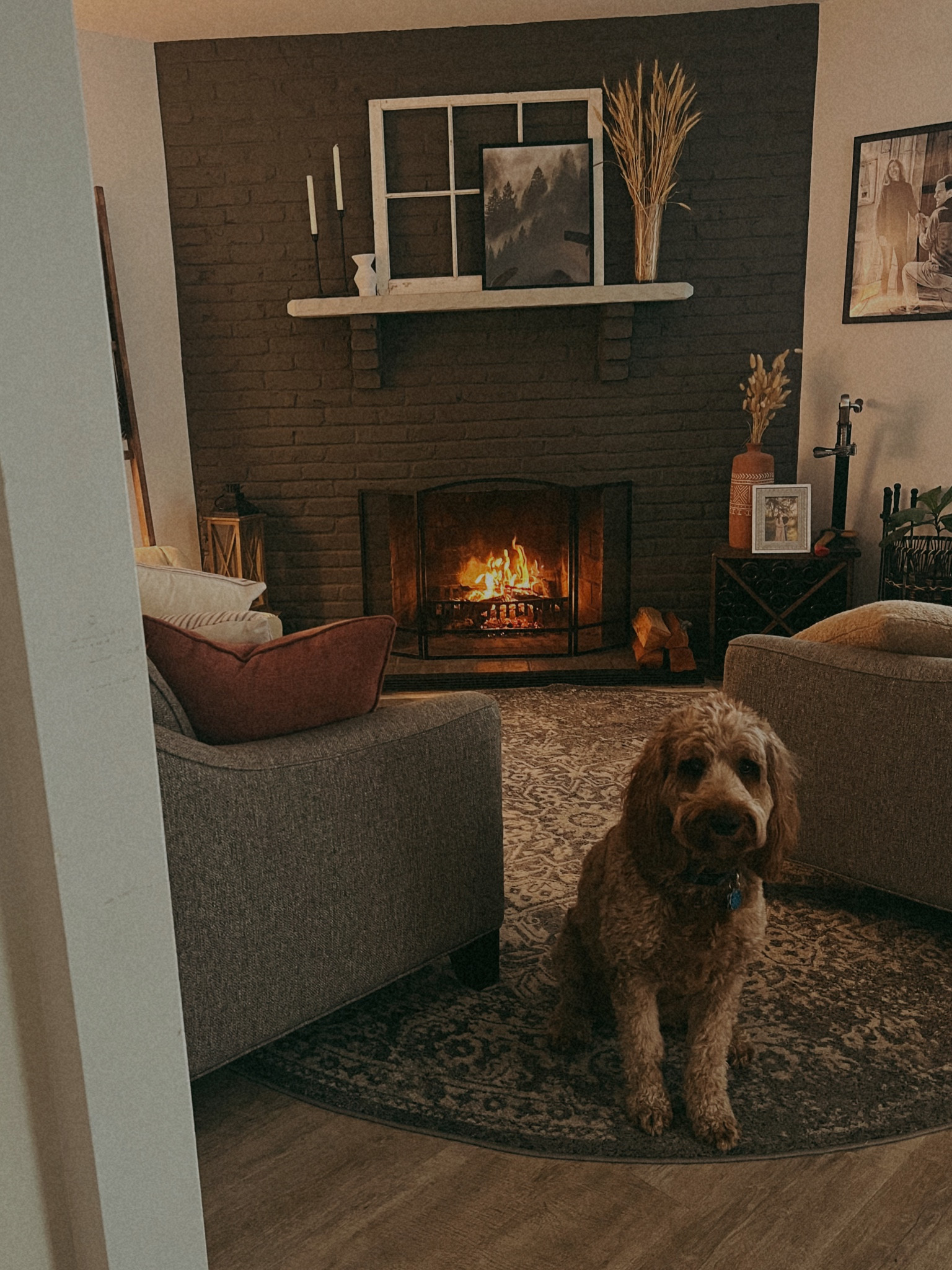 Cozy living room // round rug 

#LTKsalealert #LTKfamily #LTKhome