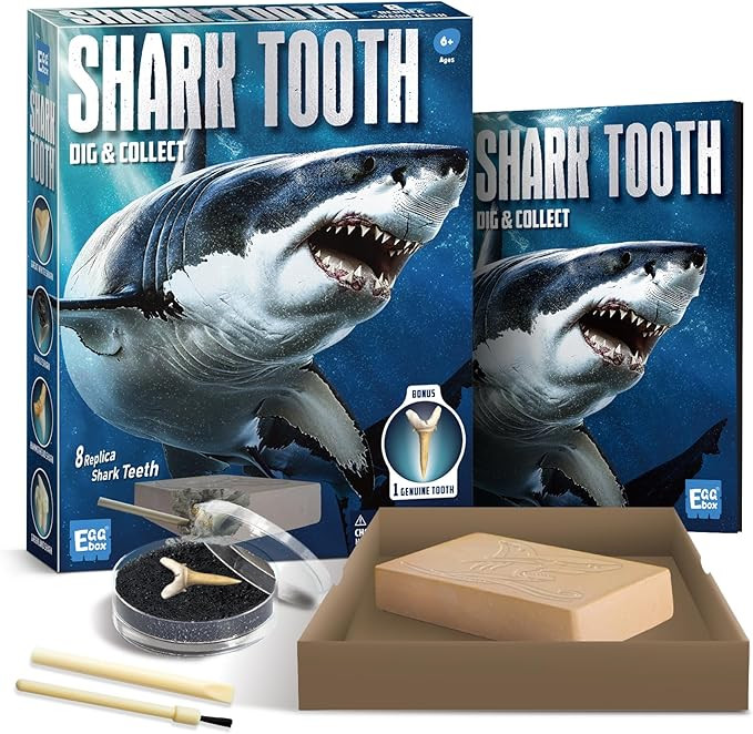 EGGBOX Shark Tooth Dig Kit Excavate 8 Shark Fossils Including Great White, Angel, Bullhead, Longn... | Amazon (US)