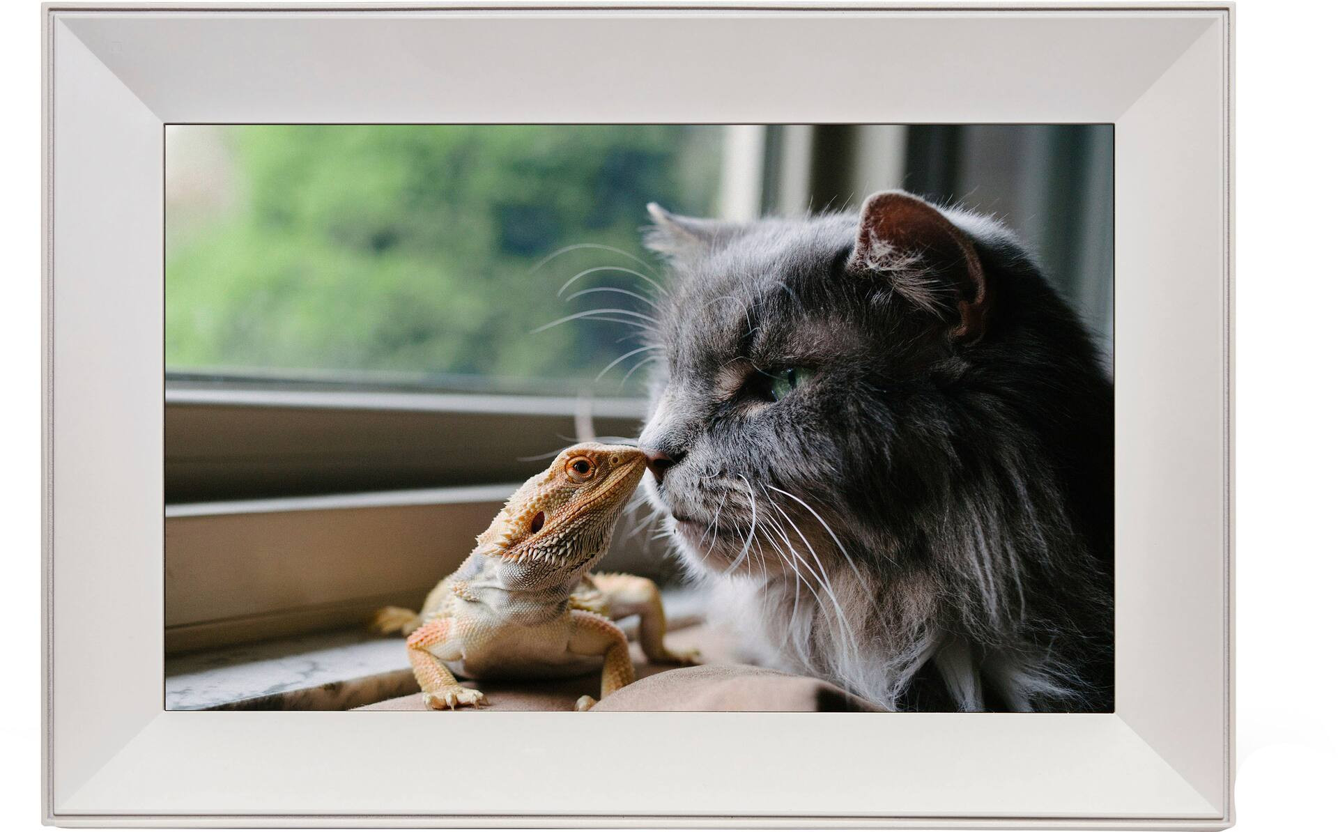 Aura Buddy 10.1'' LCD Wi-Fi Digital Photo Frame Biscuit AF100-BIS - Best Buy | Best Buy U.S.