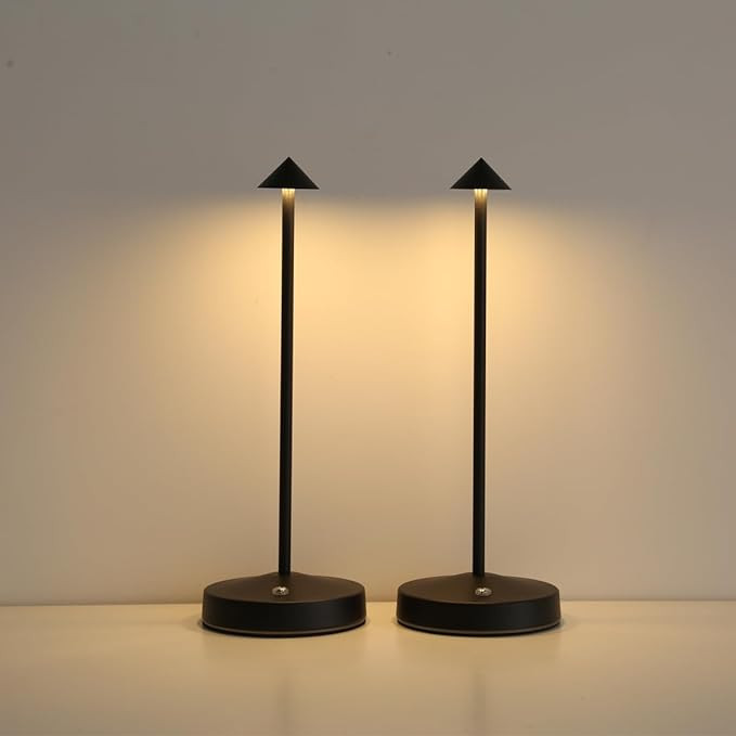 Rechargeable Cordless Table Lamp,3000mAh Battery Operated Table lamp,Portable LED Touch 2 Levels ... | Amazon (US)