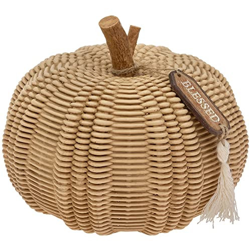 Boston International Pumpkin Décor Autumn & Fall Decorations, Large, Wicker Textured | Amazon (US)