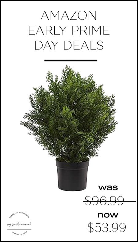 Nearly natural artificial 2’ cedar bush. We have these and love them! 
Amazon early access prime day deals! 

#LTKhome #LTKxPrimeDay #LTKsalealert