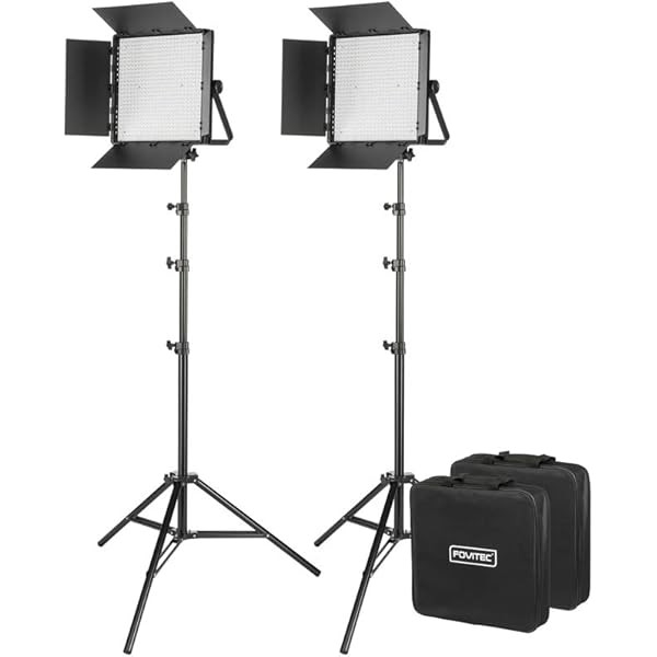 Fovitec Portable 2-Light 600 LED Daylight Panel Kit with Cases & Stands, 5600K, 95+ CRI, for Portrai | Amazon (US)