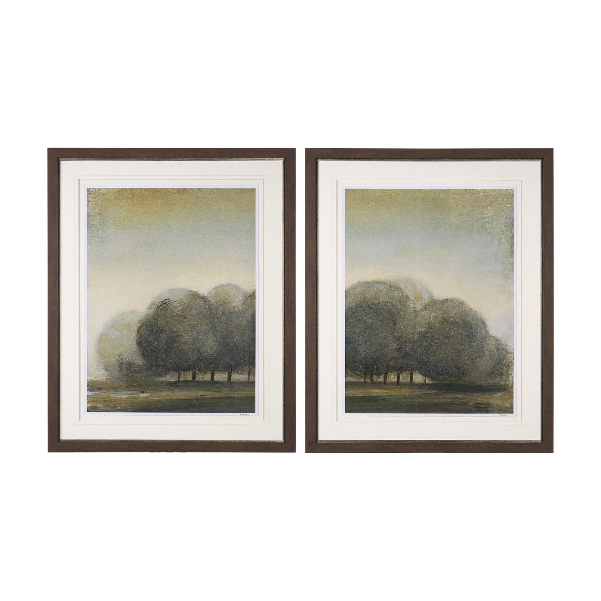 Secret Garden (Set of 2) | Perigold