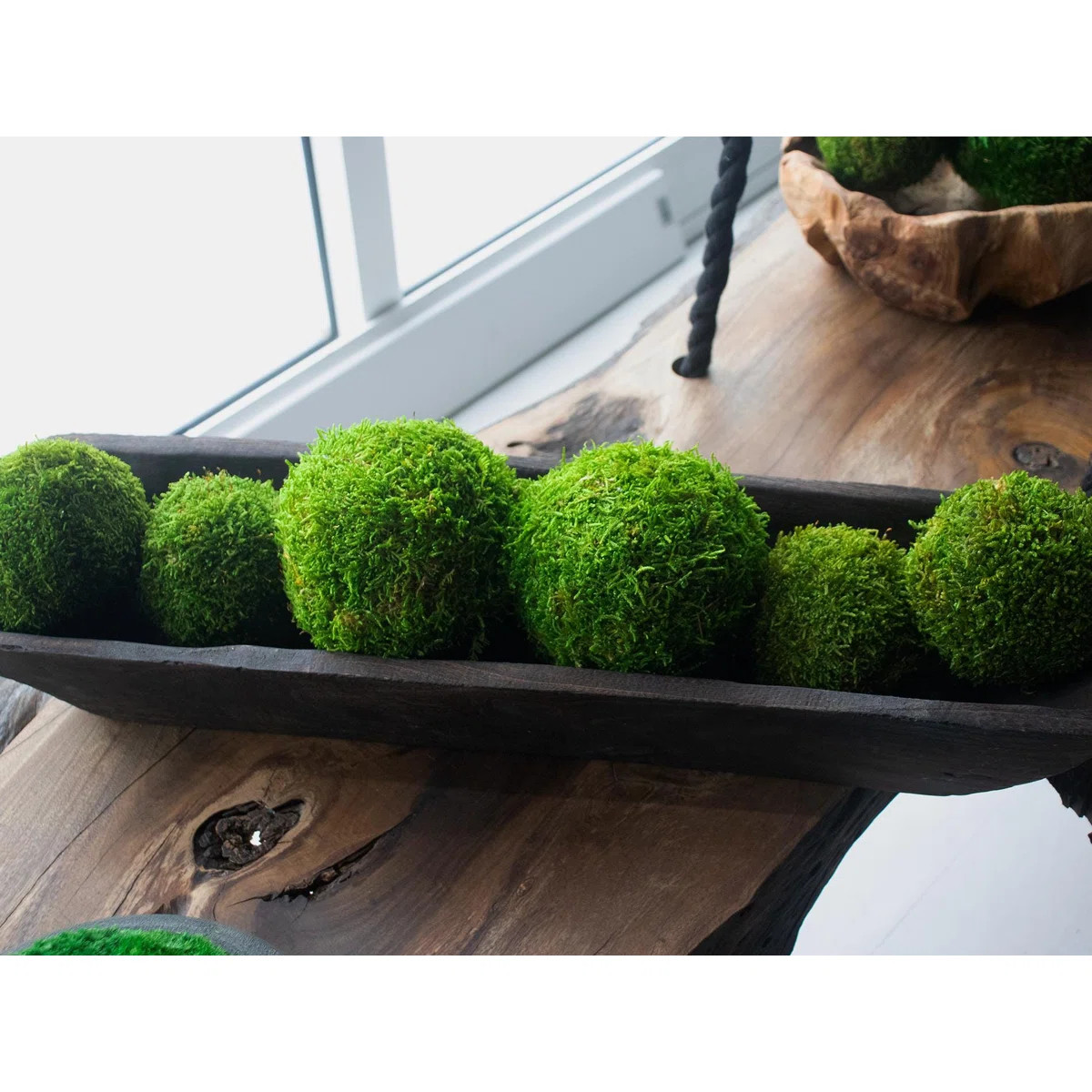 Preserved Moss Balls | Decorative Orbs & Vase Fillers (Set Of 2) | Wayfair North America