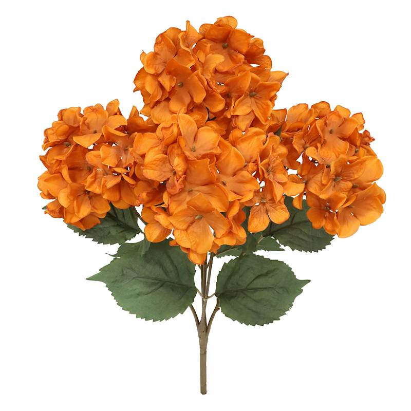Orange Hydrangea Bush, 18" | At Home