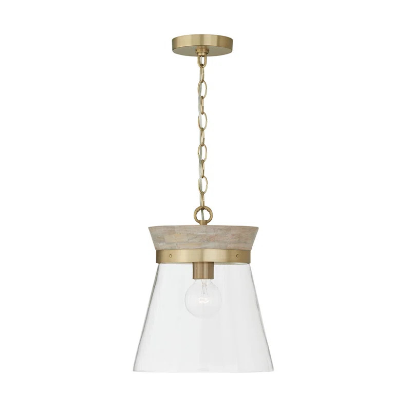 Finn 1 - Light White Wash/Matte Brass Bell Pendant | Wayfair North America