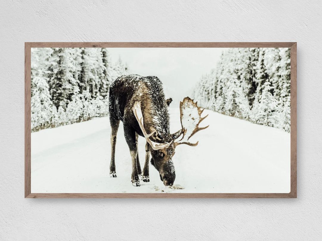 Winter Moose, Samsung Frame TV Art, Instant Download, Winter, Christmas, Frame TV Art, Samsung Ar... | Etsy (US)