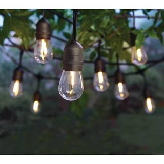 12-Light 24 ft. Plug-in Indoor/Outdoor Edison String Light with S14 Single Filament LED Bulbs | The Home Depot