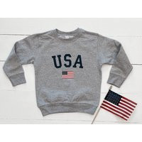 Toddler USA Flag Sweatshirt Gray Fleece Crewneck | Etsy (US)