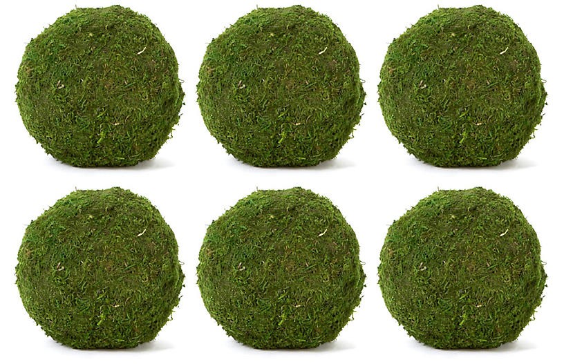 S/6 6" Moss Balls, Dried | One Kings Lane