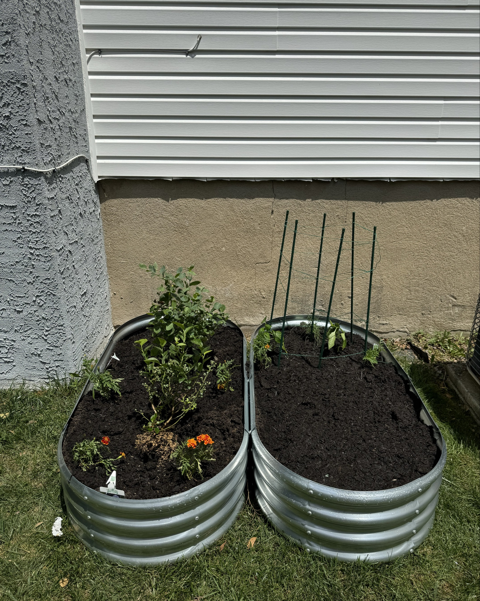 Veggie garden favs

#LTKHome #LTKSeasonal