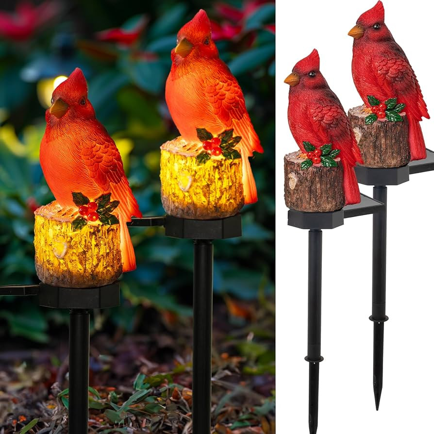 Dazzle Bright 2 Pack 22.5 in Cardinal Bird Solar Lights, Red Bird Solar Powered Lights Cardinal G... | Amazon (US)